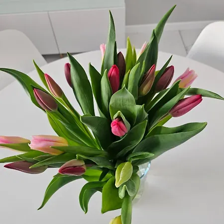 Center Zwierzyniecka Centrum, Targi, Mtp 24h Self Check-in, Parking *