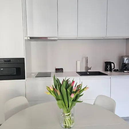 Daire Center Zwierzyniecka Centrum, Targi, Mtp 24h Self Check-in, Parking Poznan